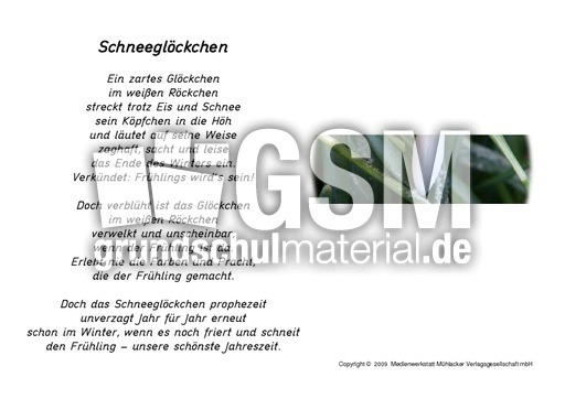 Schneeglöckchen-Gedicht-Foto.pdf